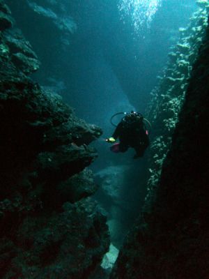 Cueva de Chopa Diving Spot Las Galeras Samana